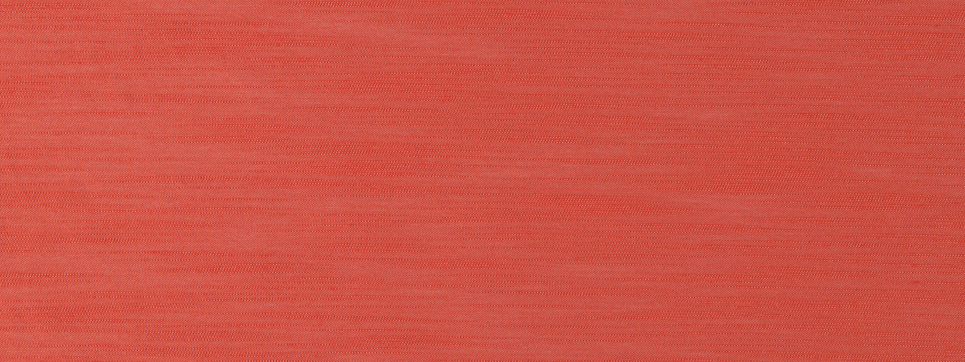 SILKY SLUB | CORAL REEF