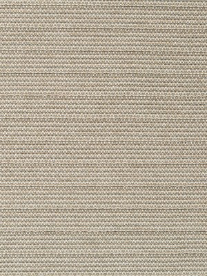 MULTI CHENILLE | ZINC