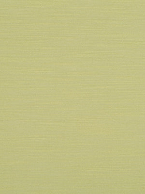 SILKY SLUB | SPRING GRASS
