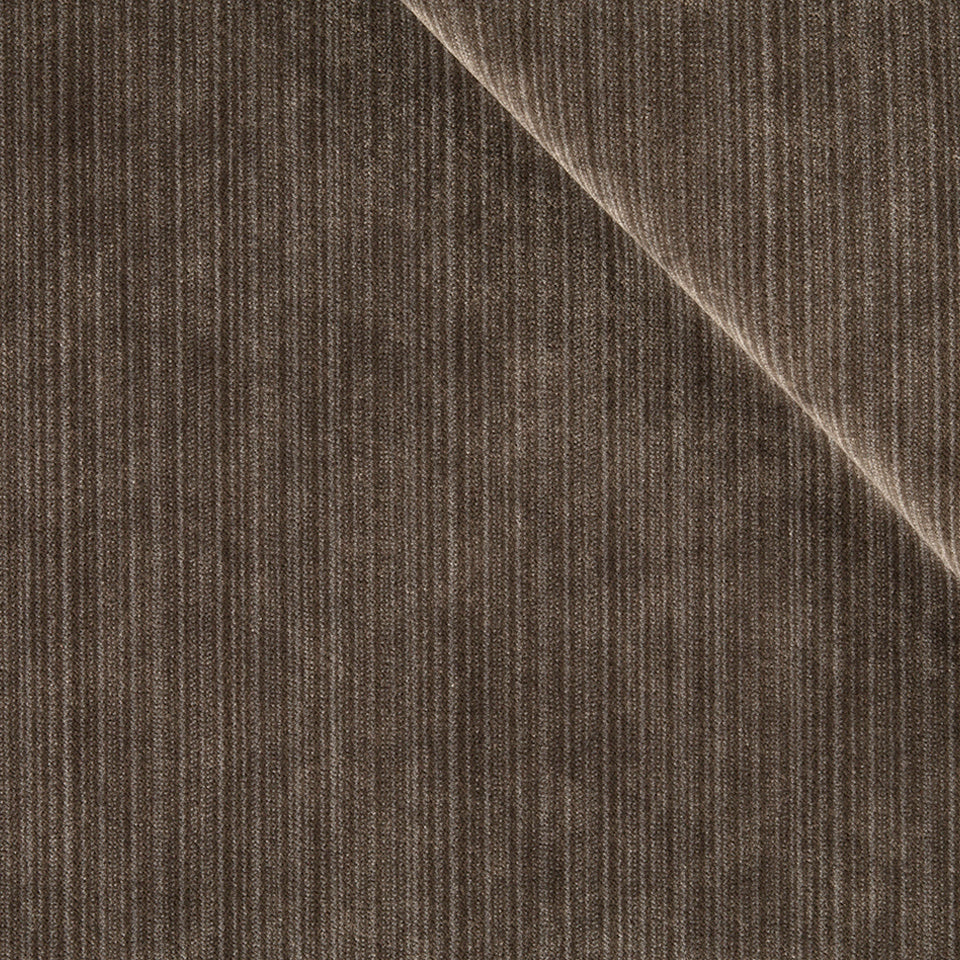 PLUSH STRIE | GRAPHITE