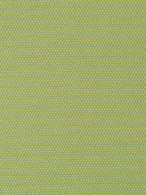 SQUARE TEXTURE | LEAF