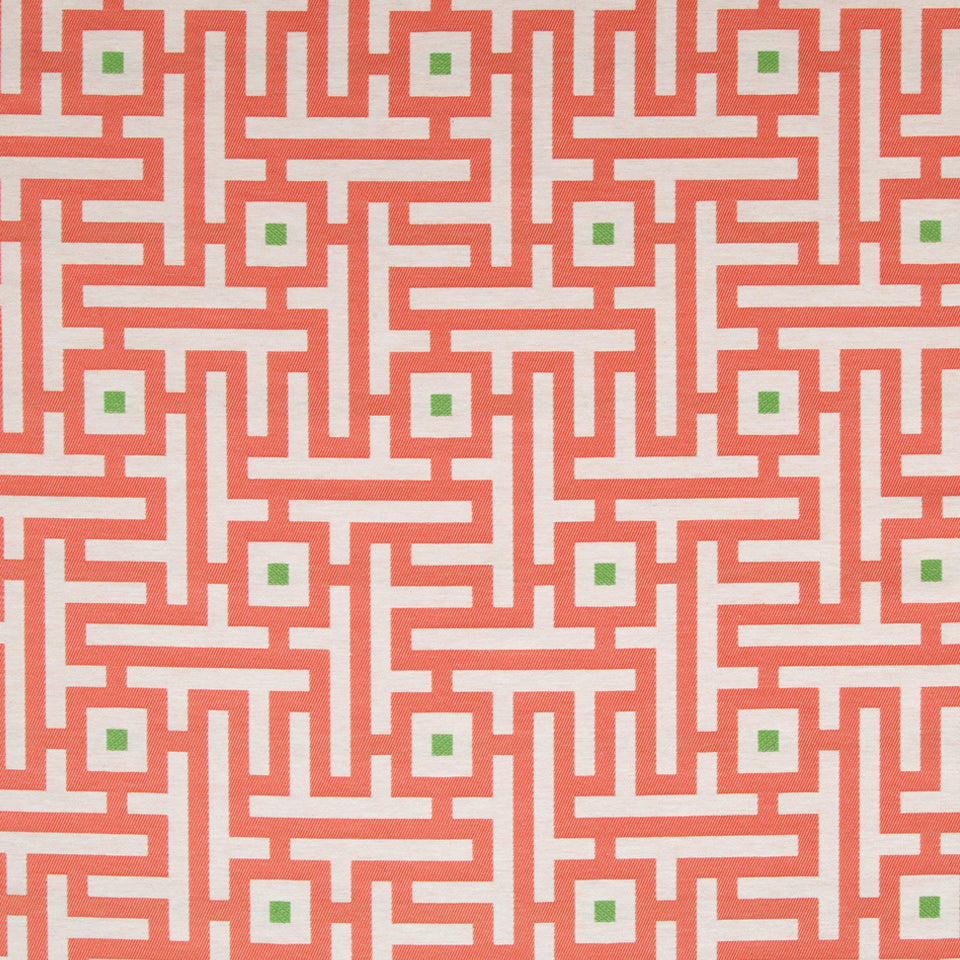MERRY MAZE | CORAL REEF