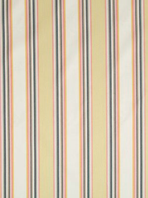 MICHIBA STRIPE | SUNRAY