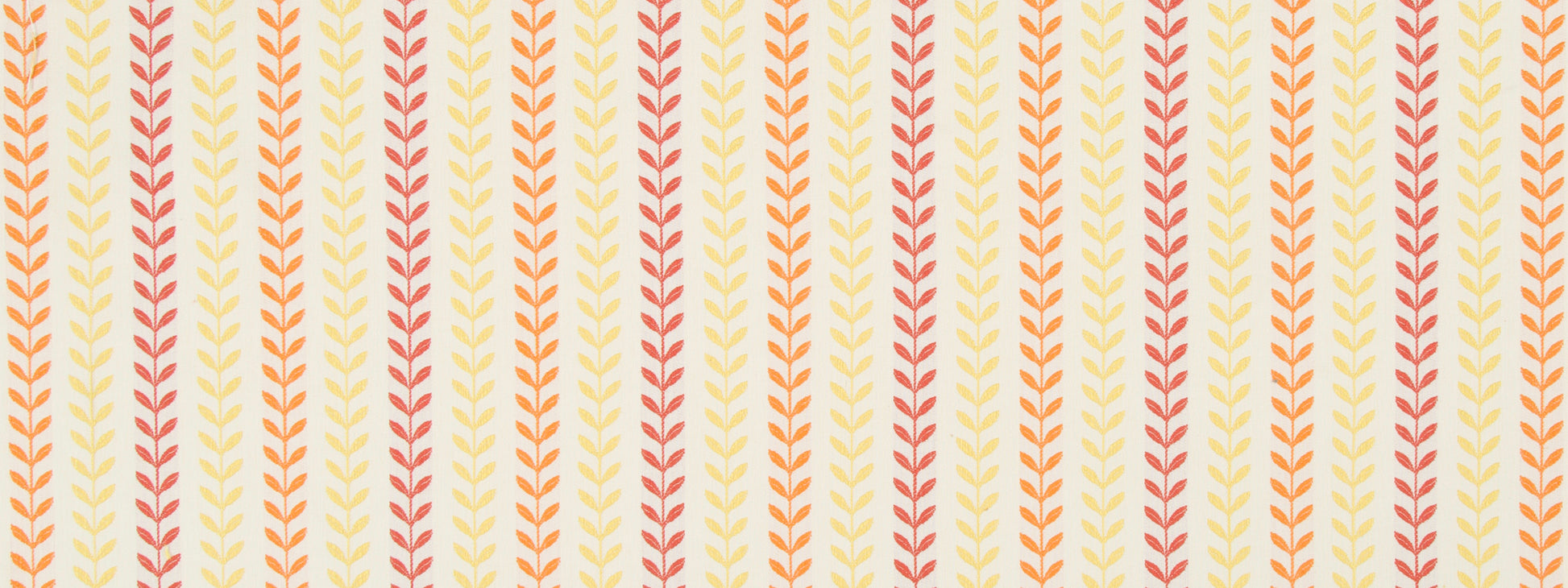VINEY LINES | SUNRAY