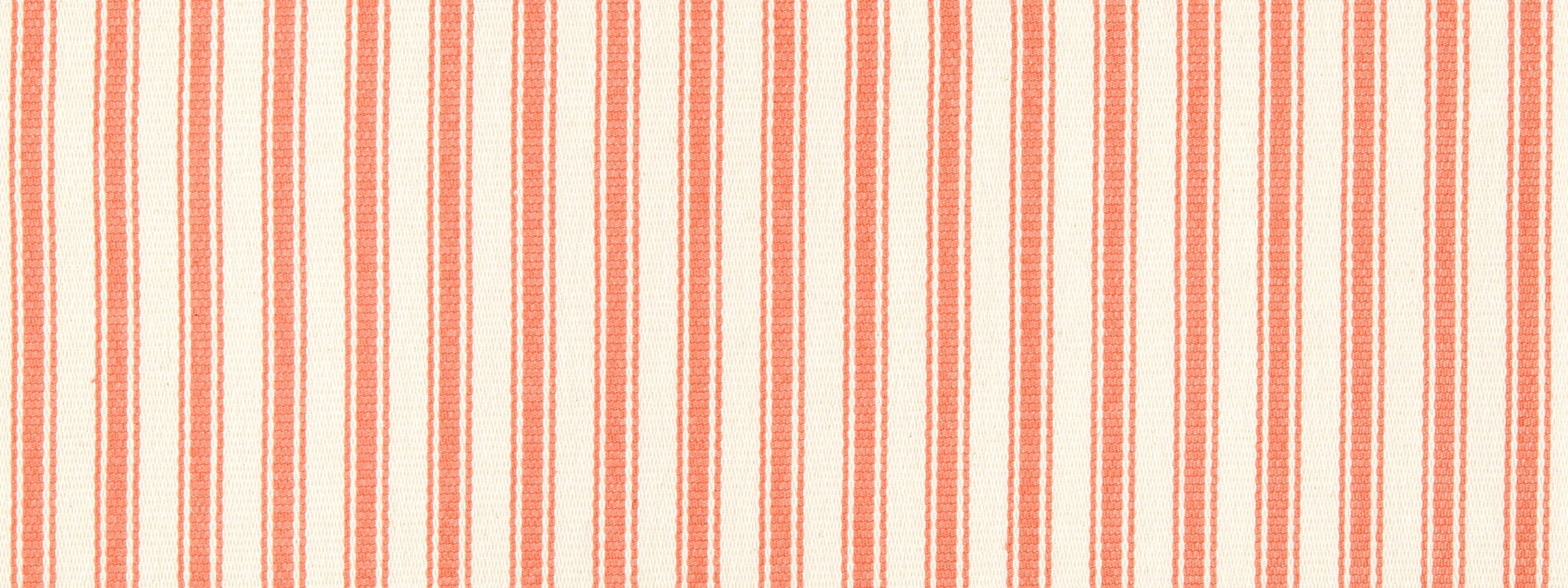 PADULA | CORAL REEF