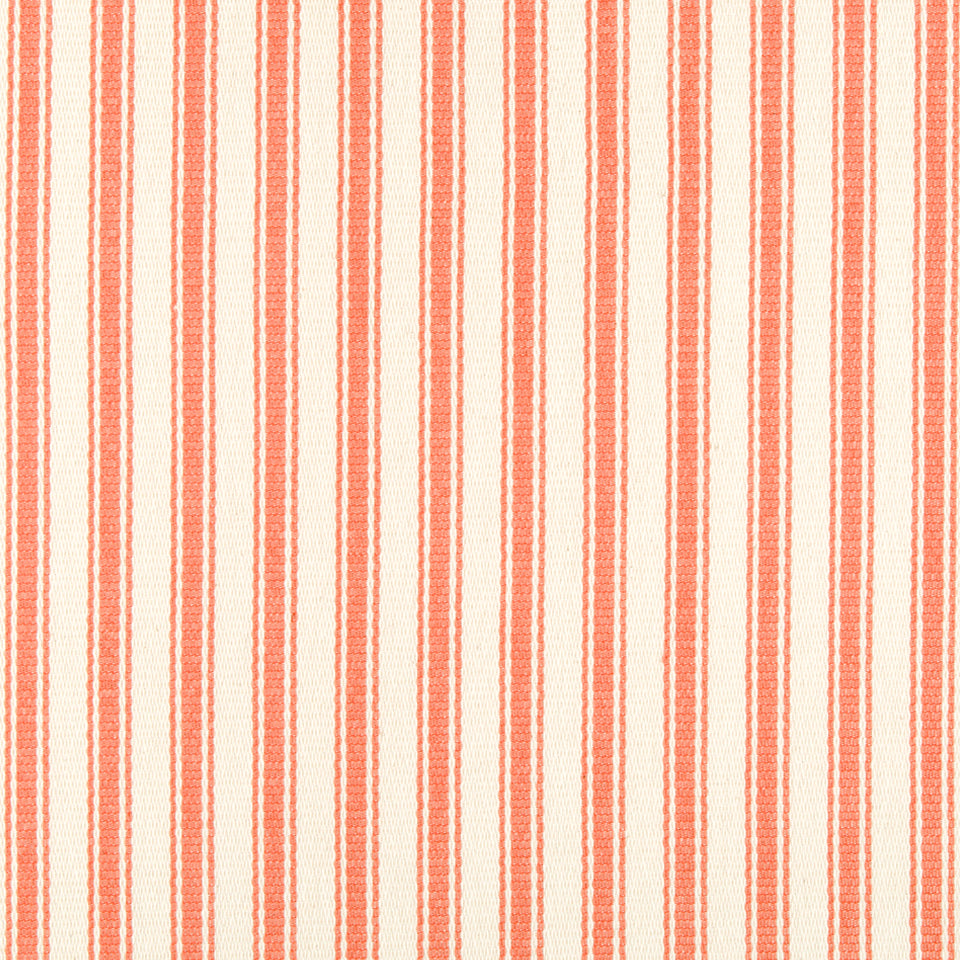 PADULA | CORAL REEF