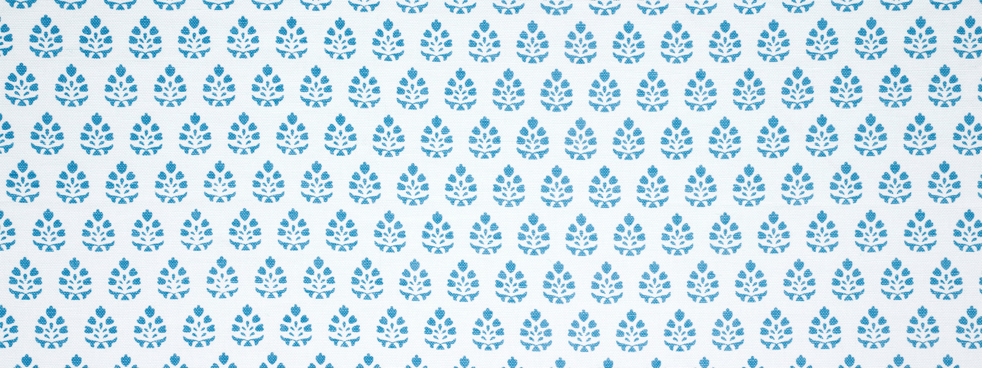 BELLE BLOOM | CALYPSO BLUE