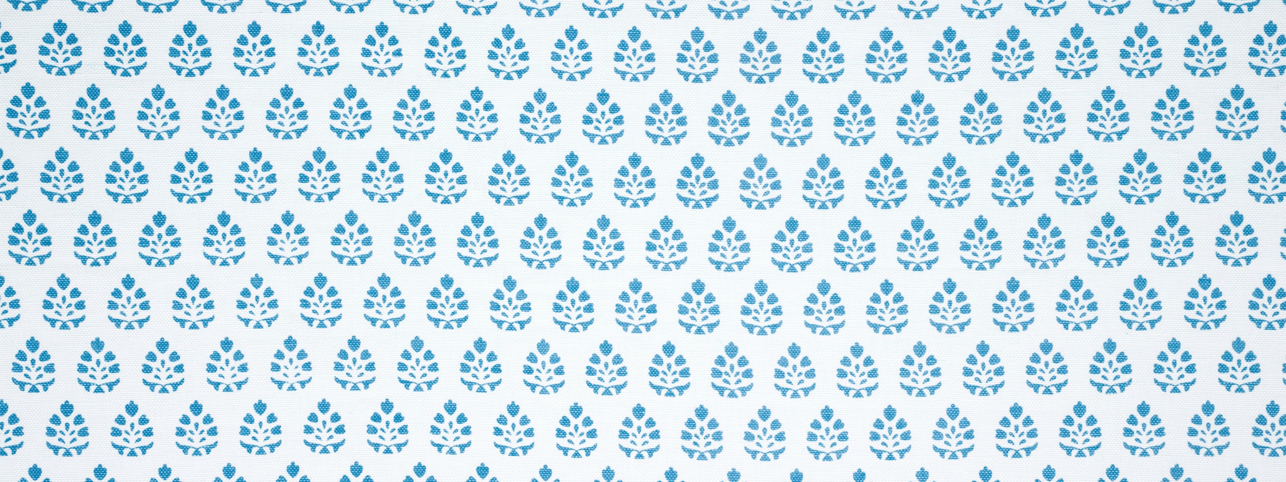 BELLE BLOOM | CALYPSO BLUE