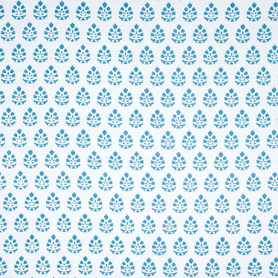 BELLE BLOOM | CALYPSO BLUE