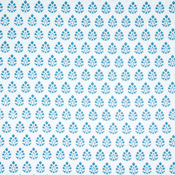 BELLE BLOOM | CALYPSO BLUE