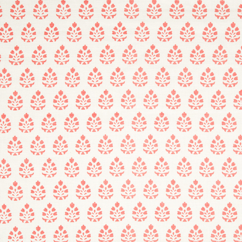 BELLE BLOOM | CORAL REEF