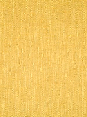 Open Plain | Sunray