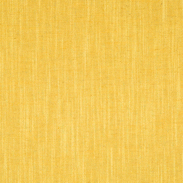 Open Plain | Sunray