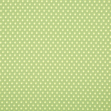 MANY DIAMONDS | SPRING GRASS