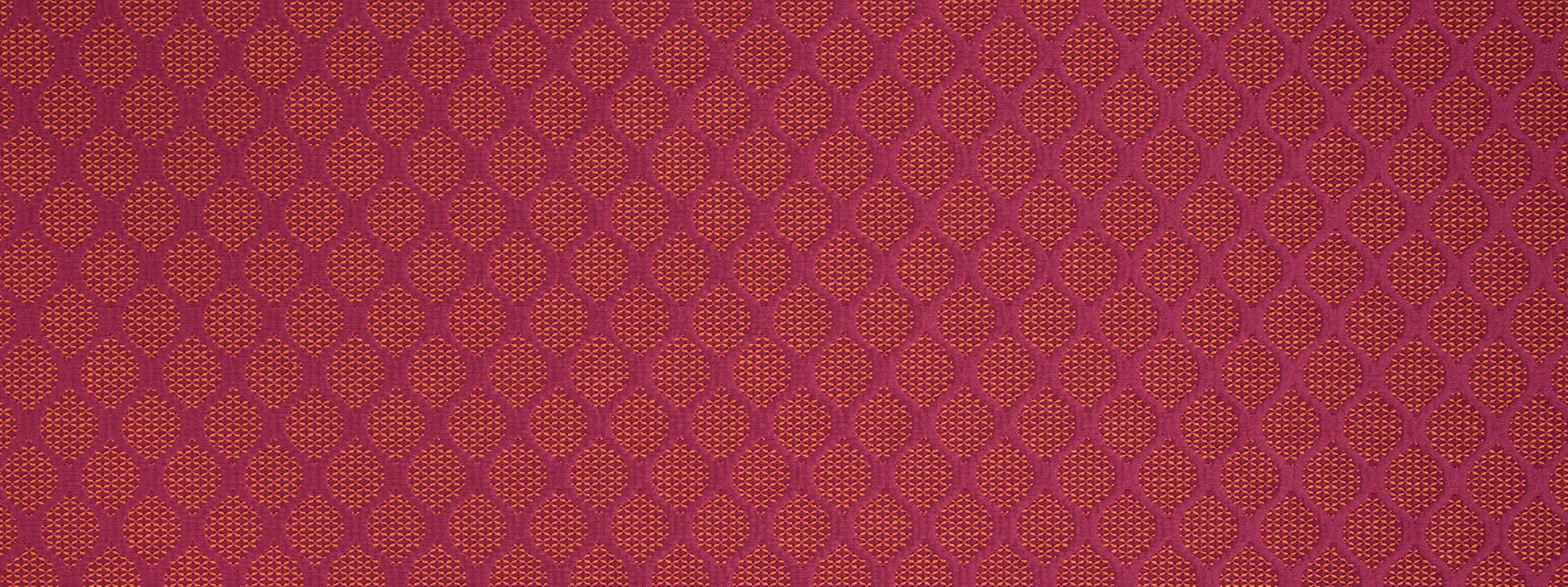 MODERN LINKS | CORAL REEF