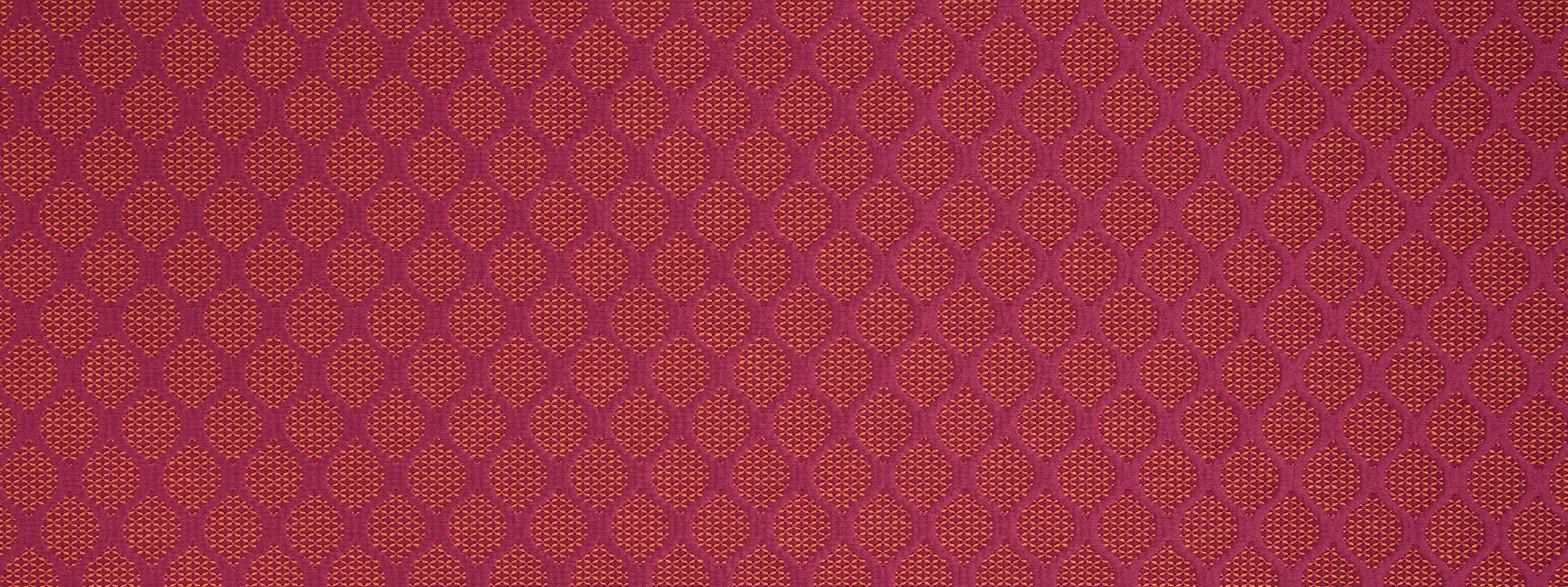 MODERN LINKS | CORAL REEF