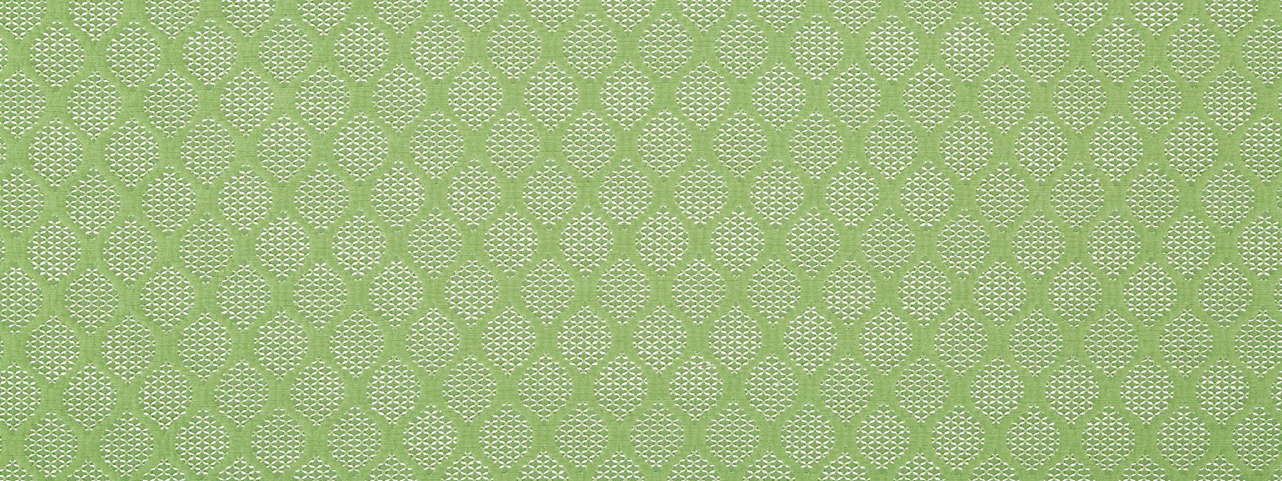 MODERN LINKS | SPRING GRASS