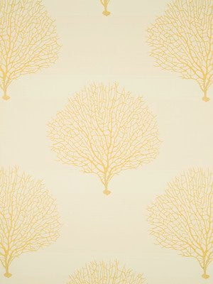 TREE BRANCH | SUNRAY