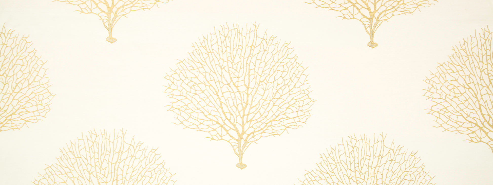 TREE BRANCH | SUNRAY