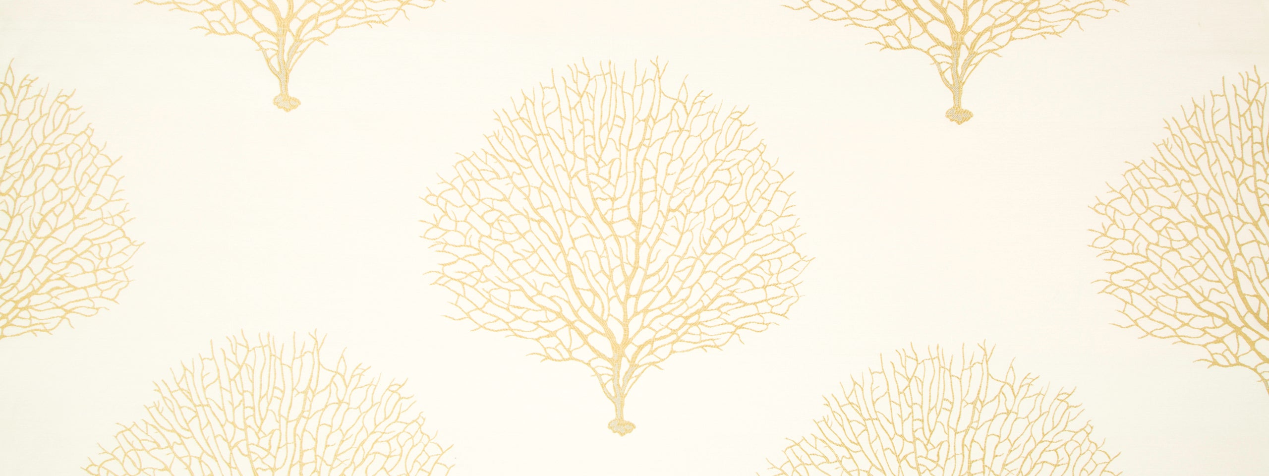 TREE BRANCH | SUNRAY