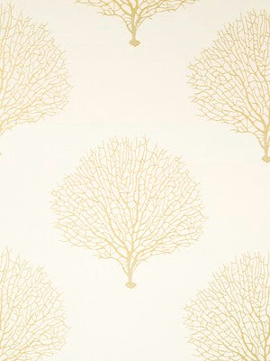 TREE BRANCH | SUNRAY