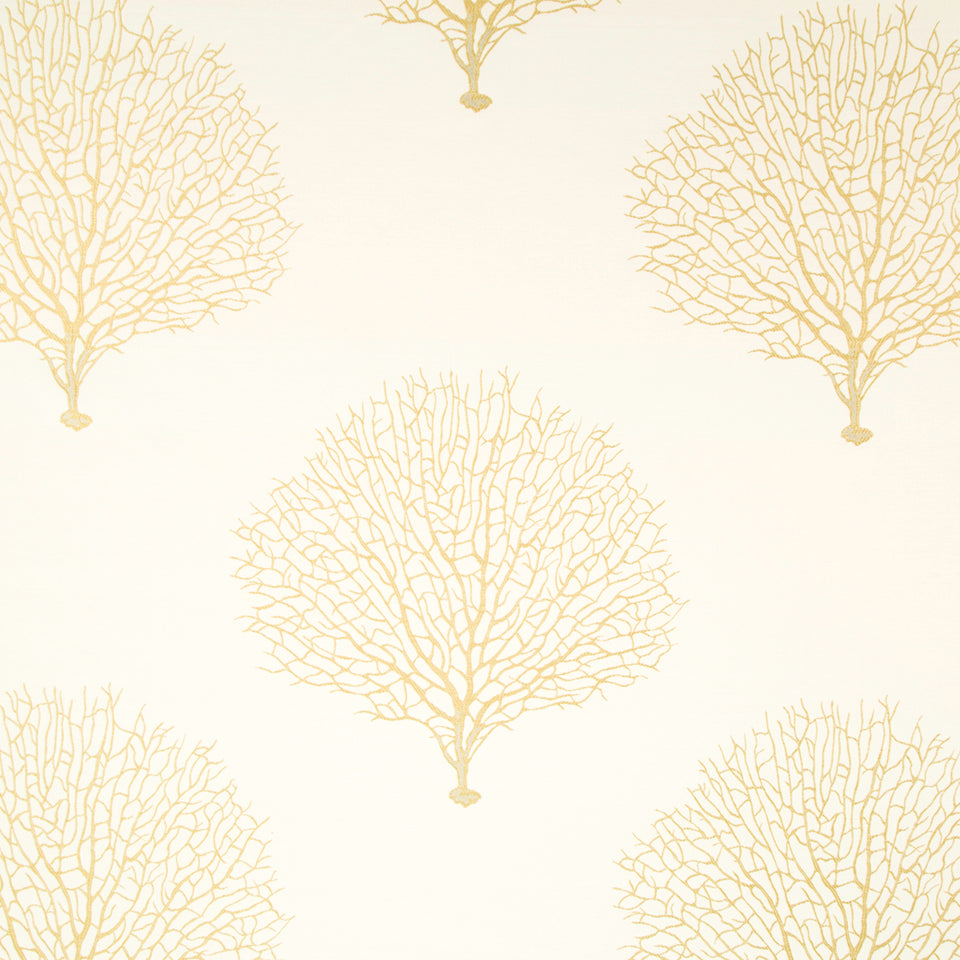 TREE BRANCH | SUNRAY