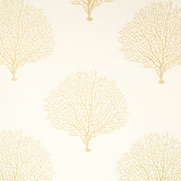 TREE BRANCH | SUNRAY