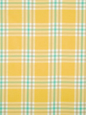 Plenty Plaid | Sunray