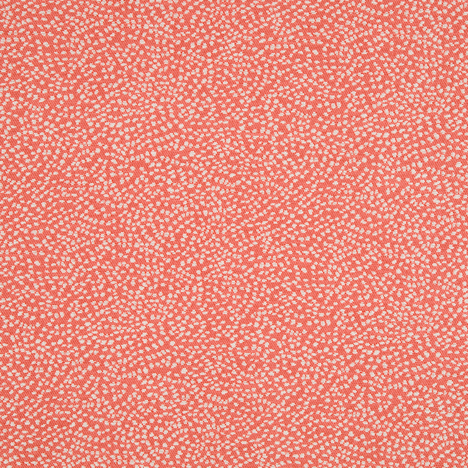 BEDROCK | CORAL REEF