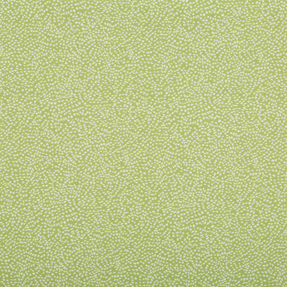 BEDROCK | SPRING GRASS