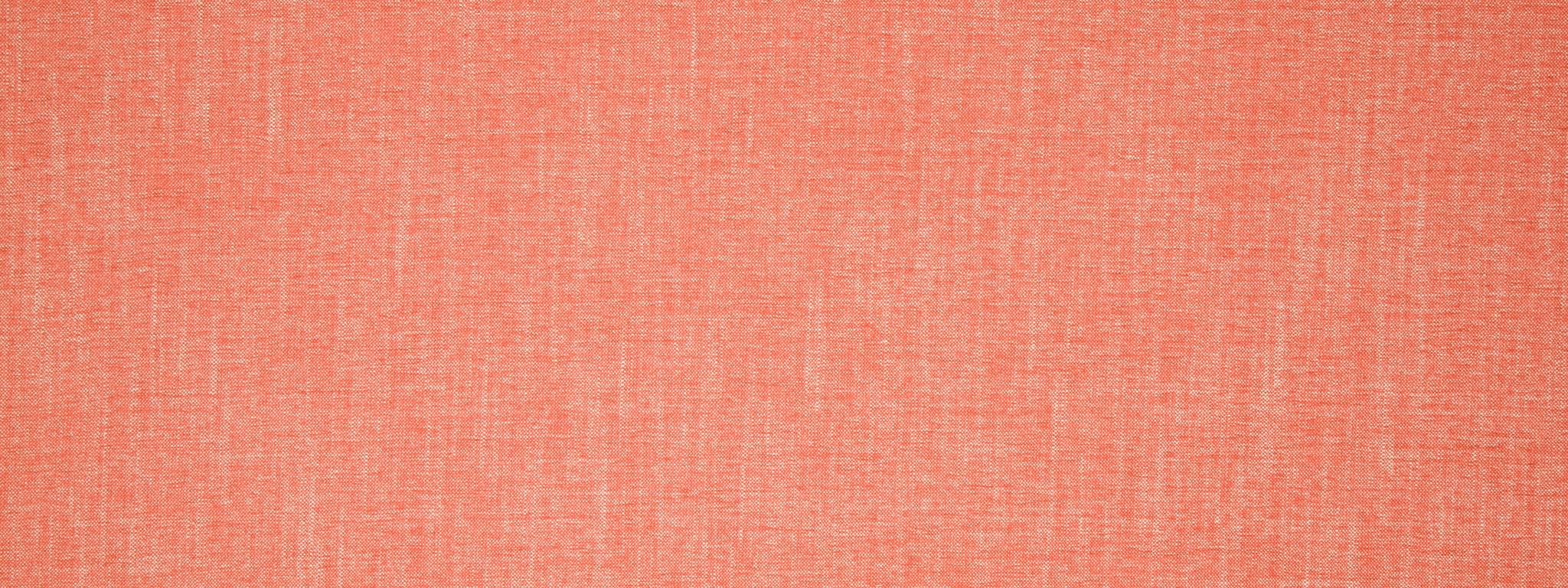 Dream Chenille | Coral Reef