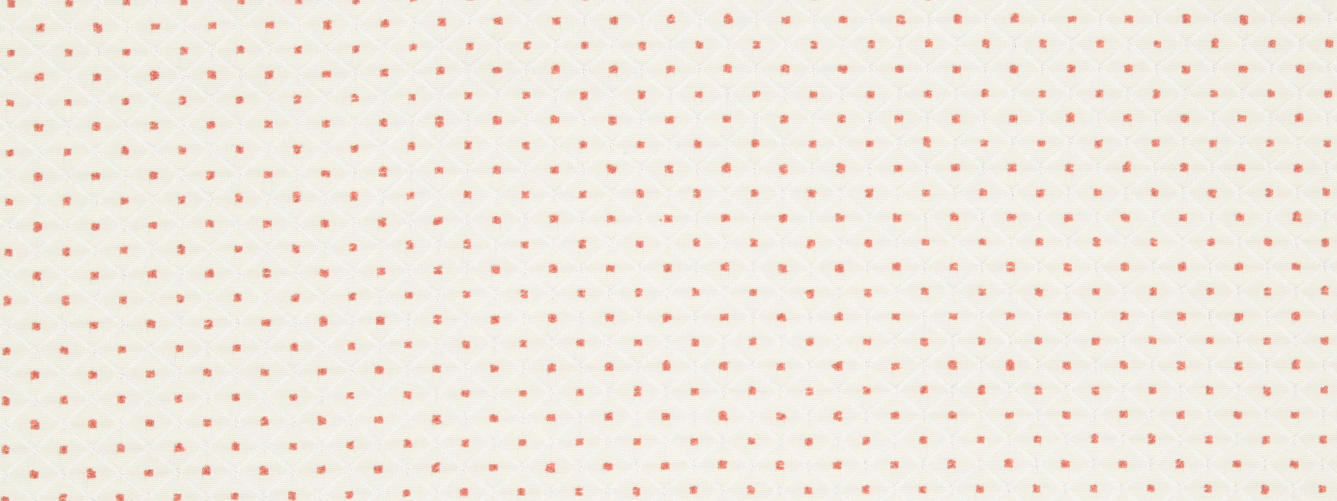 FULLERTON | CORAL REEF