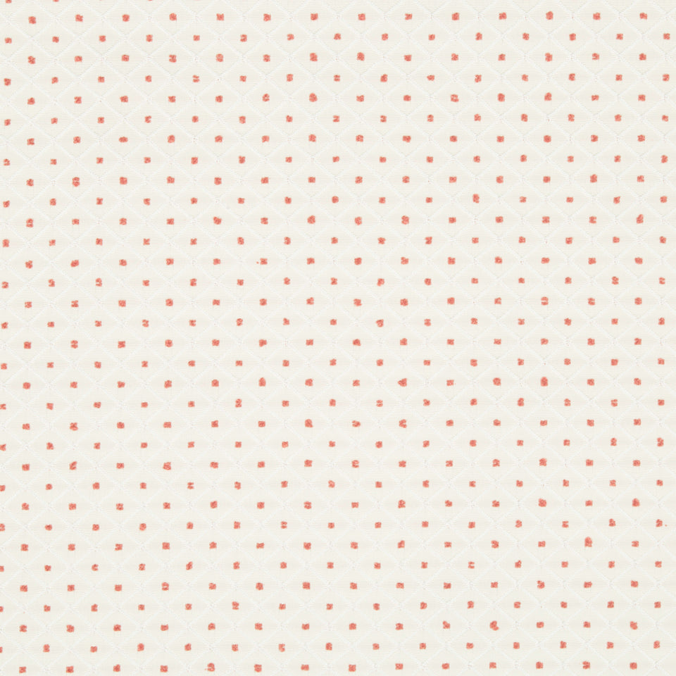 FULLERTON | CORAL REEF