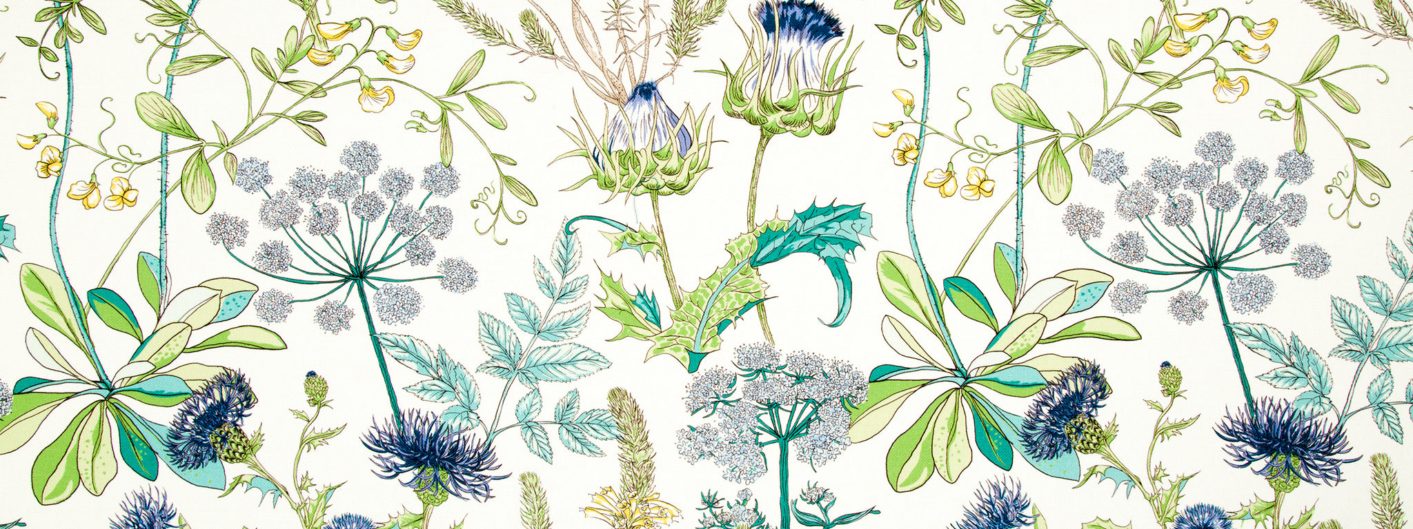 WILD OASIS | CALYPSO BLUE
