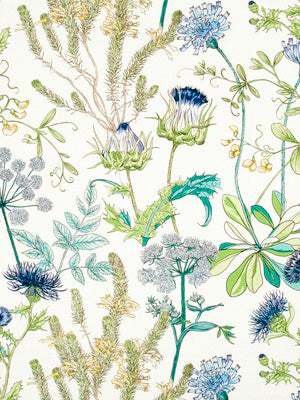 WILD OASIS | CALYPSO BLUE