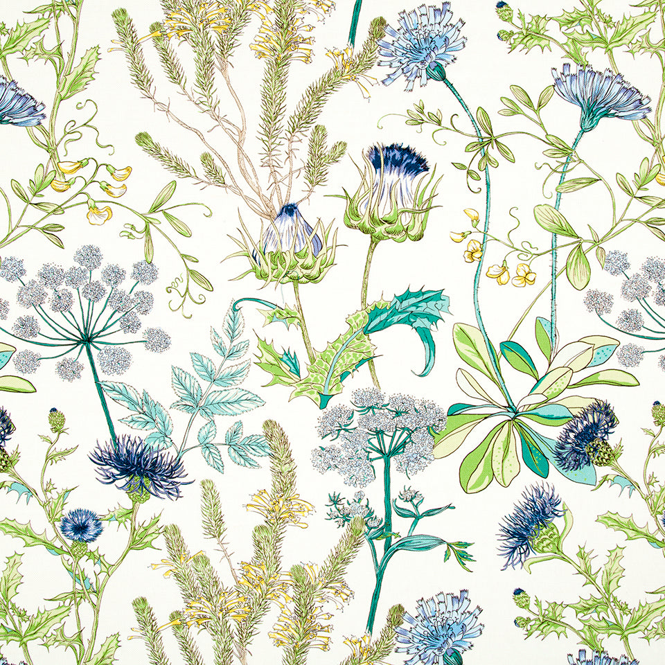 WILD OASIS | CALYPSO BLUE