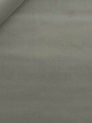 Torino Velvet | Platinum - Upholstery - Fabric