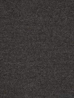 Fine Boucle | Charcoal - Upholstery - Fabric