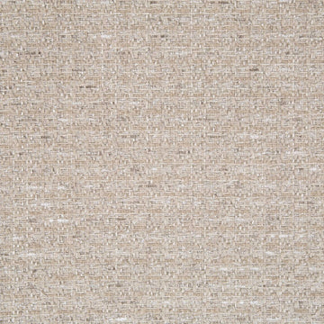 Europa Solid | Stone
