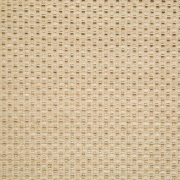 GILDED RAFFIA | DARK FLAX