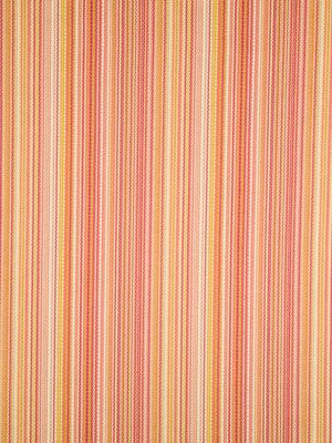 ZIGZAG STRIPE | CORAL REEF
