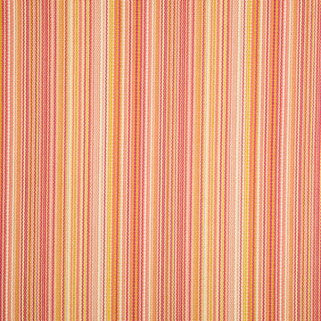 ZIGZAG STRIPE | CORAL REEF