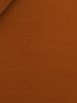 Lady Elsie | Burnt Orange - Upholstery - Fabric