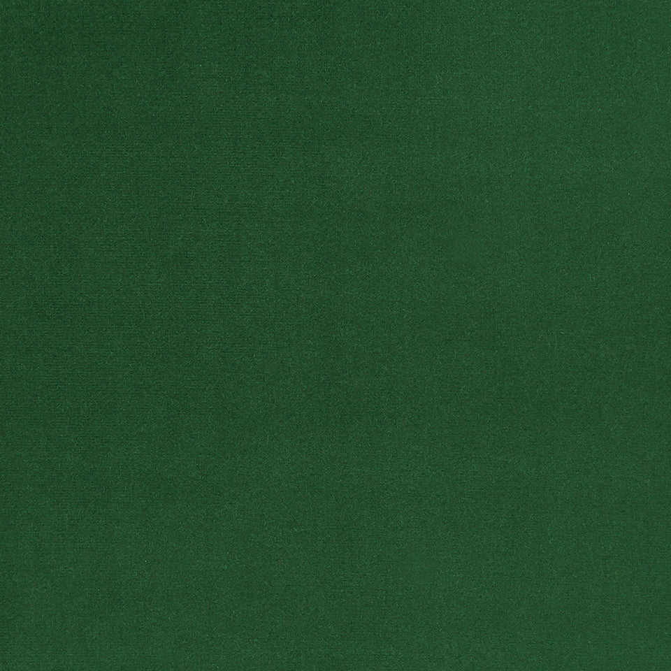 Lady Elsie | Evergreen
