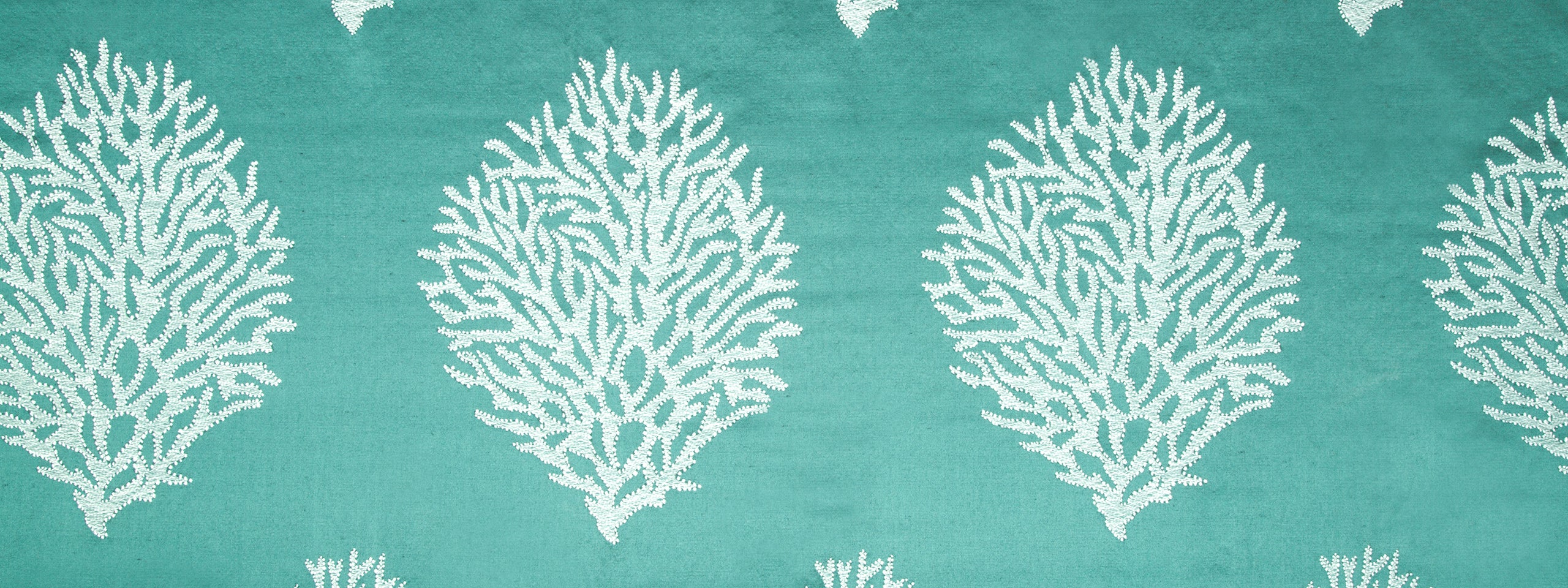 Belo Coral | Neptune