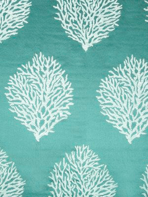 Belo Coral | Neptune