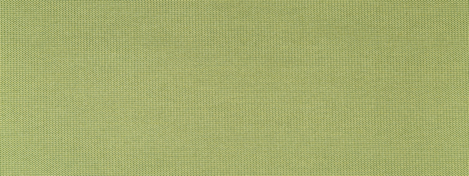 FINE TEXTURE | LIME