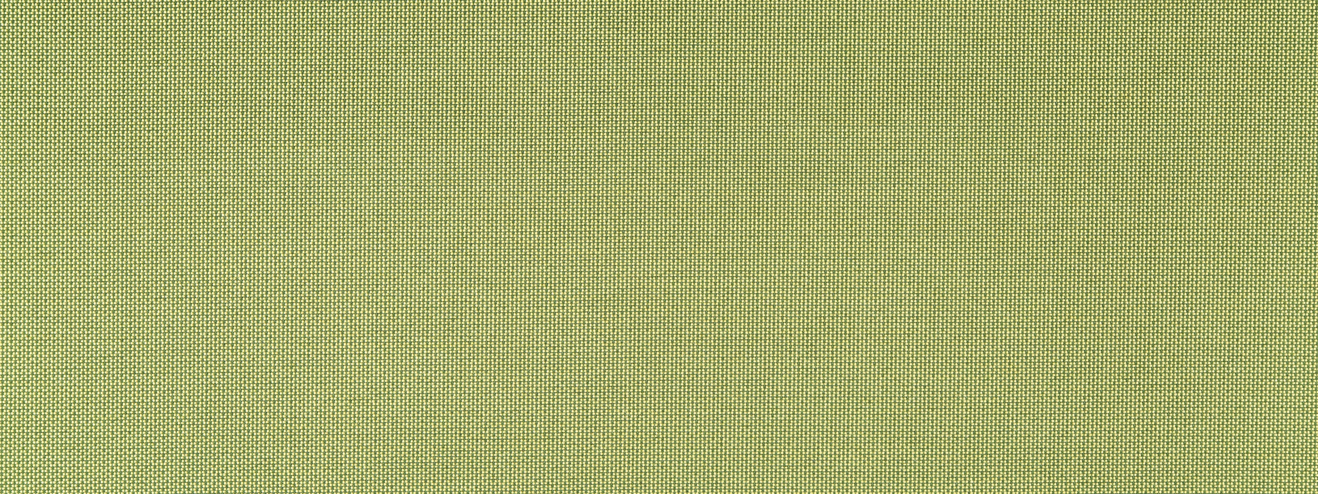 FINE TEXTURE | LIME