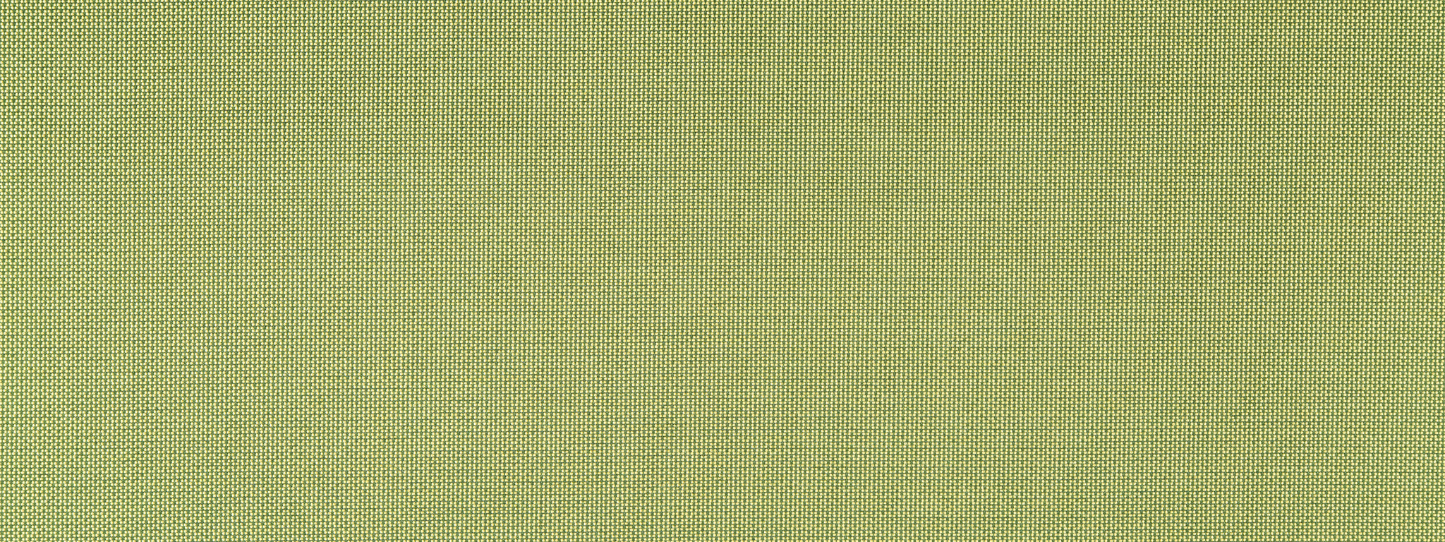 FINE TEXTURE | LIME