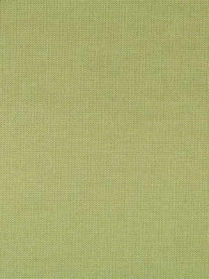 FINE TEXTURE | LIME
